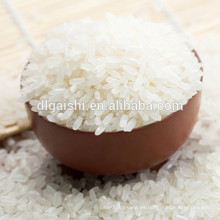arroz koshihikari